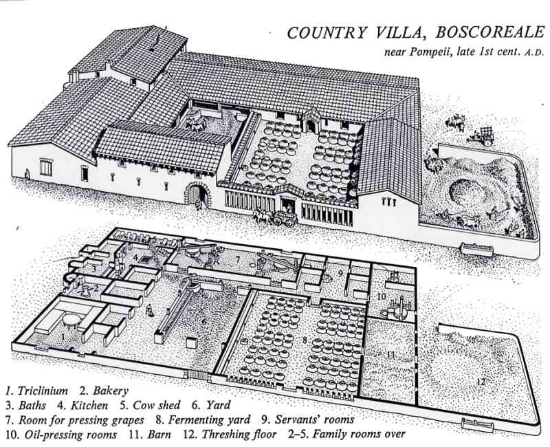 Roman Villa floorplan